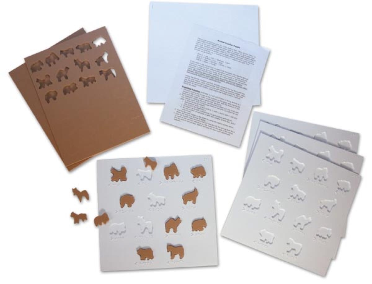Building on Patterns: Primary Braille Literacy Program: First Grade: Unit 6 Animal Shapes and Pages Set