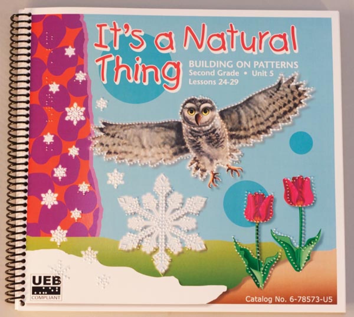 Building on Patterns: Primary Braille Literacy Program: Second Grade: Unit 5 Student Textbook - UEB