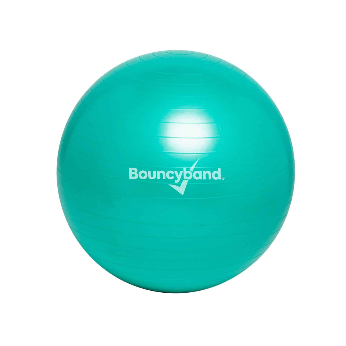WEIGHTED BALANCE BALL - ADULT
