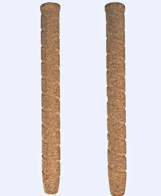 Premium Graphite Mobility Rigid Cane - Cork Handle (PGC) Adult