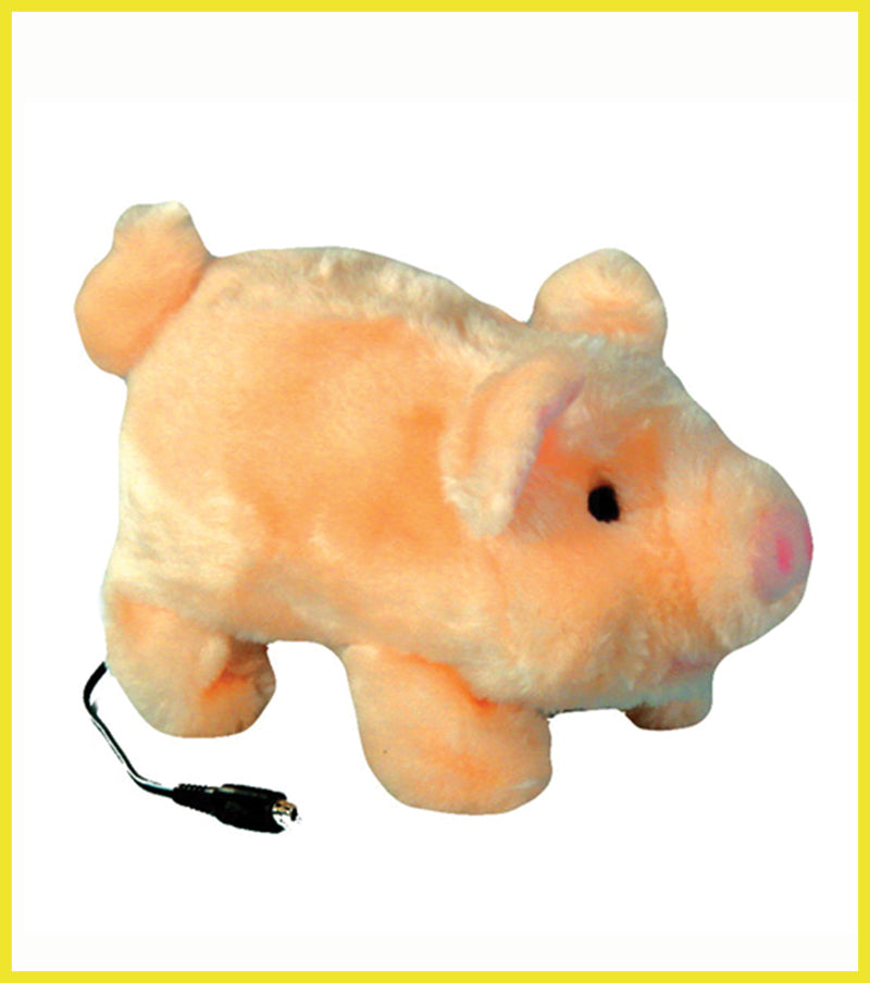 Switch Adapted Pudgy the Piglet