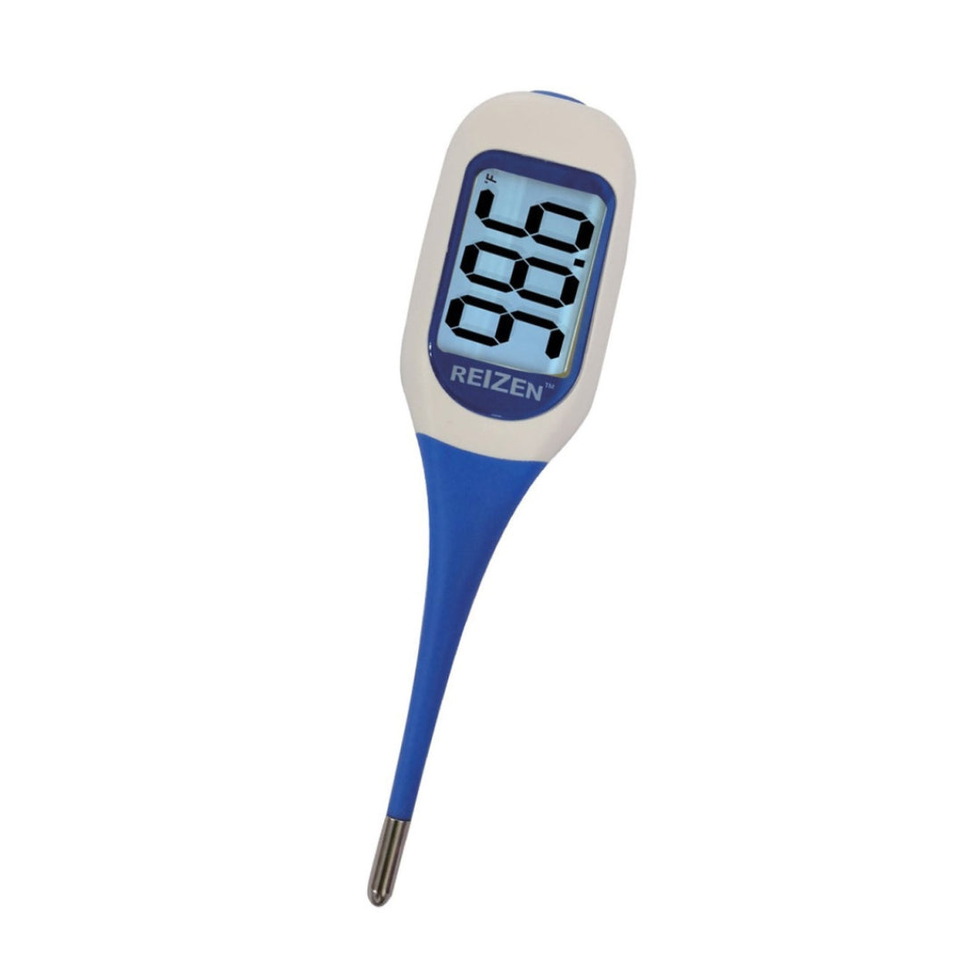 Talking Thermometer