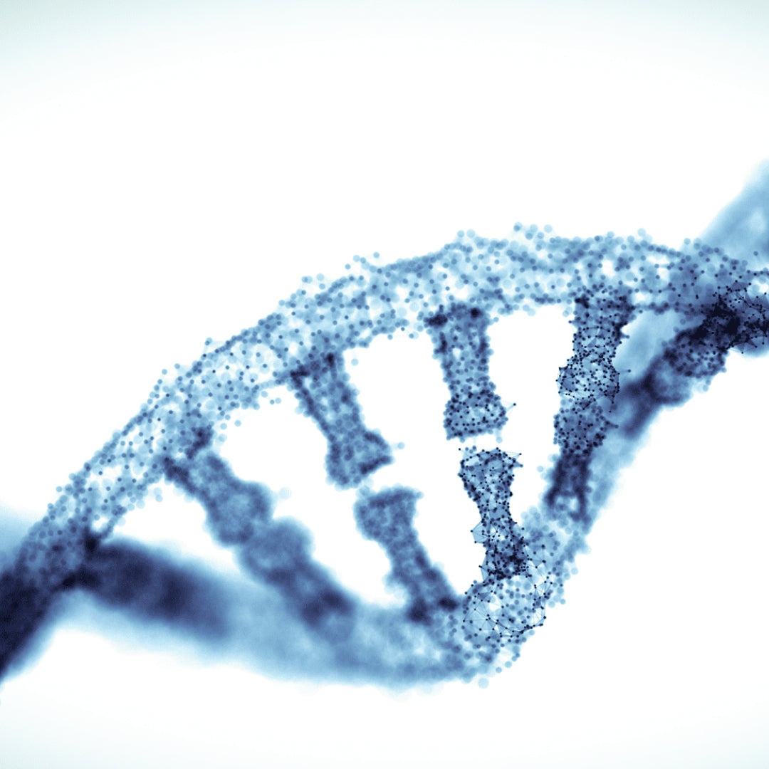 A microscopic view of a DNA strand