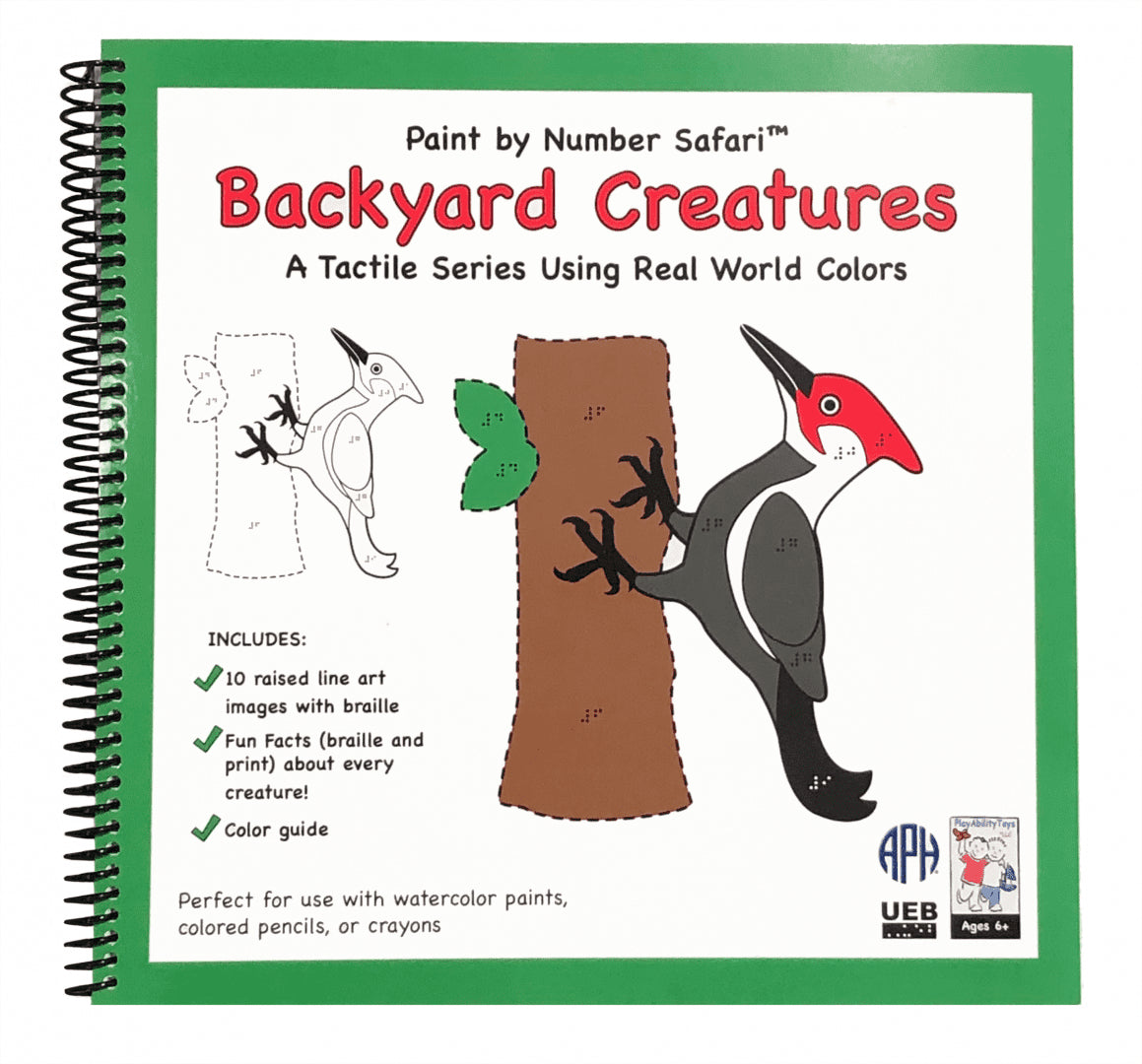 Paint by Number Safari - Backyard Creatures