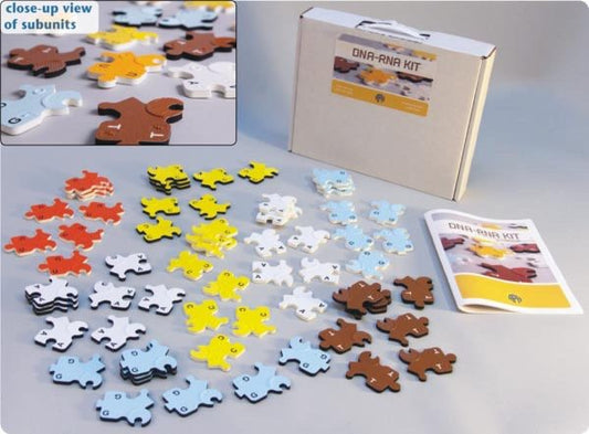 DNA-RNA Kit