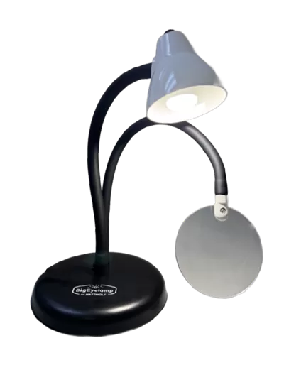 Big Eye Sigle Arm Desk Lamp 10"