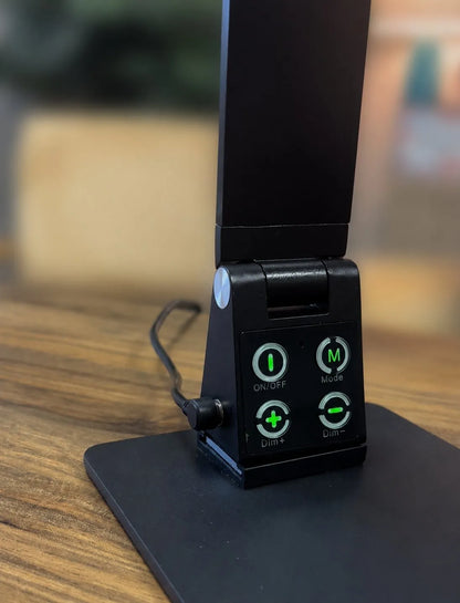 Bright Reach Desk Lamp in Black