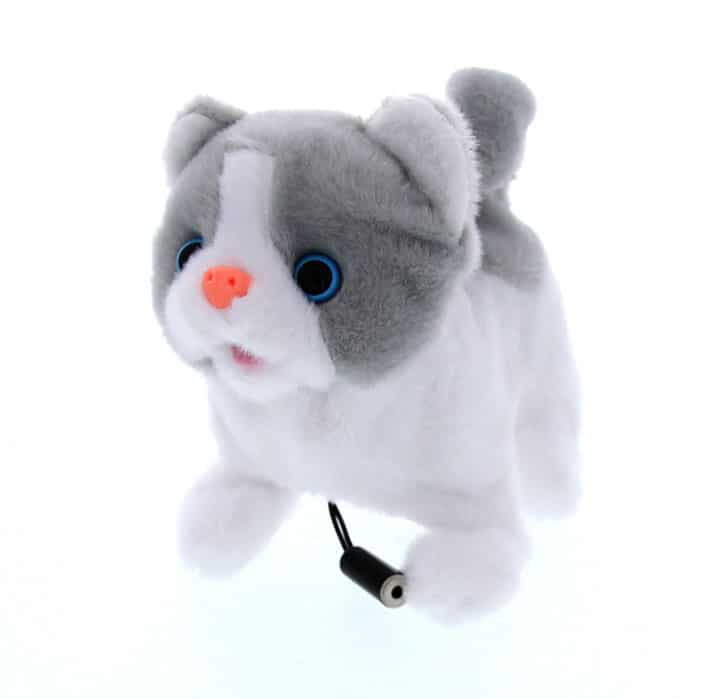 L'IL KITTY