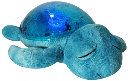TRANQUIL TURTLE