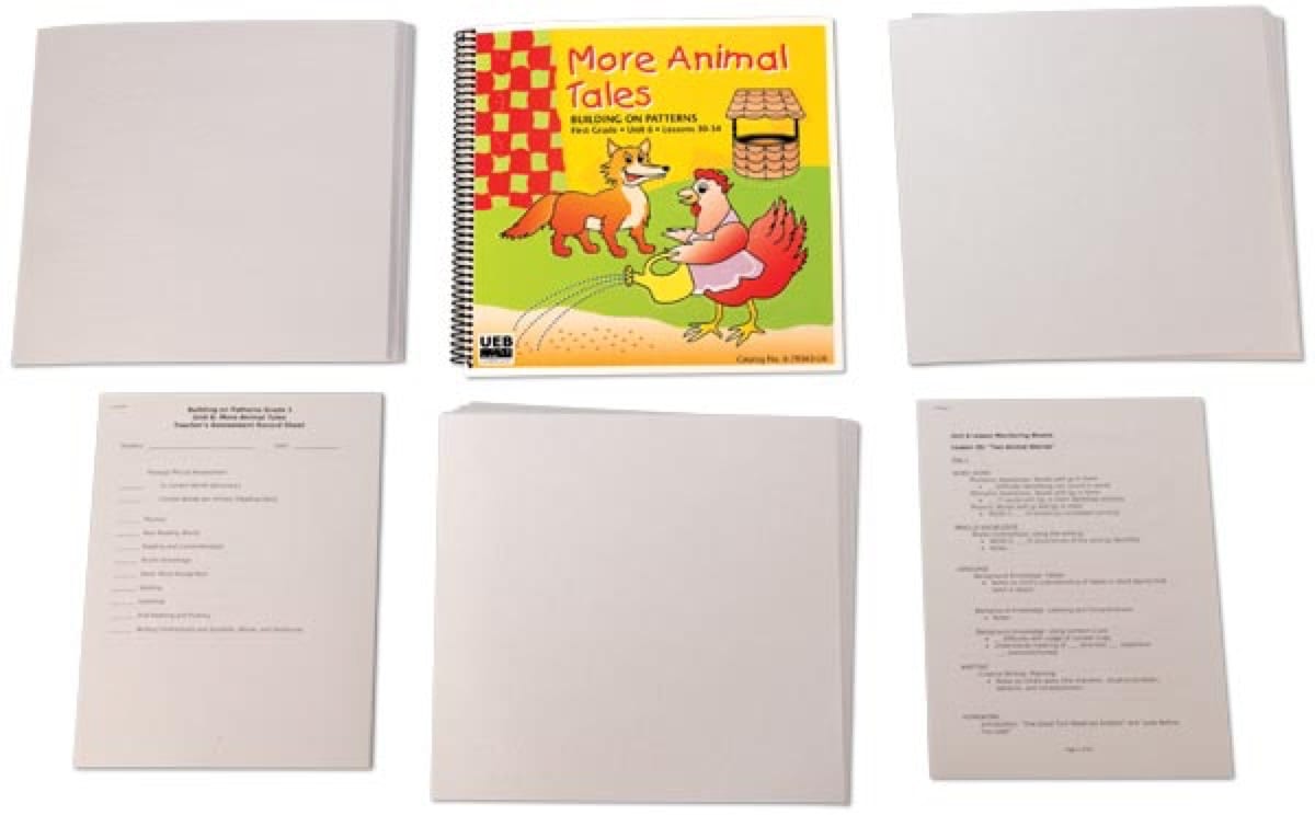 Building on Patterns: Primary Braille Literacy Program: First Grade: Unit 6 Student Kit - UEB