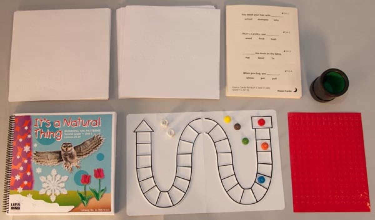 Building on Patterns: Primary Braille Literacy Program: Second Grade: Unit 5 Worksheets Pack - UEB