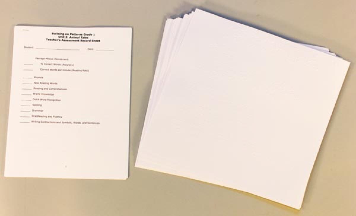 Building on Patterns: Primary Braille Literacy Program: First Grade: Unit 3 Assessment Check-Up Forms