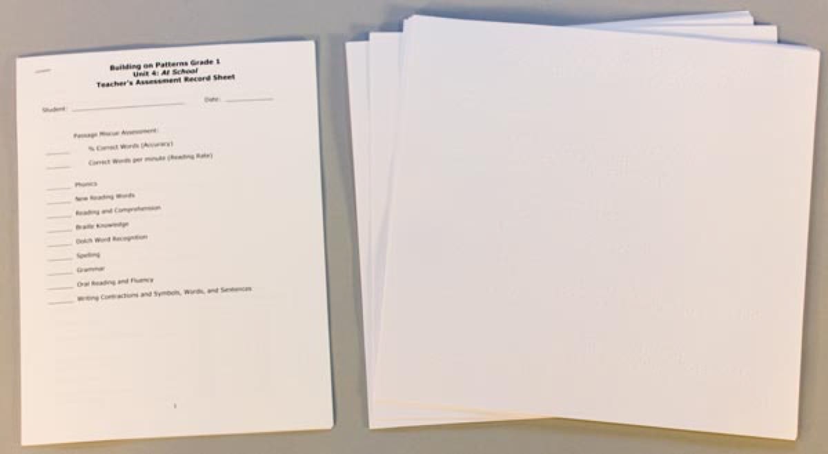 Building on Patterns: Primary Braille Literacy Program: First Grade: Unit 4 Assessment Check-Up Forms
