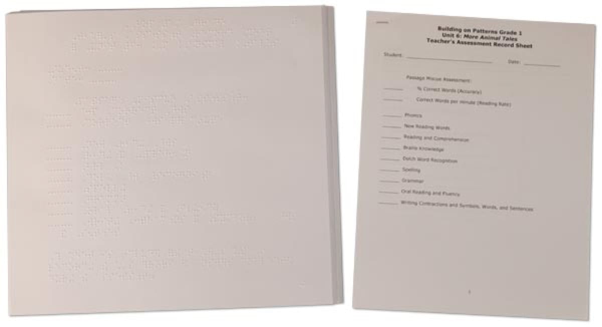 Building on Patterns: Primary Braille Literacy Program: First Grade: Unit 6 Assessment Check-up Forms