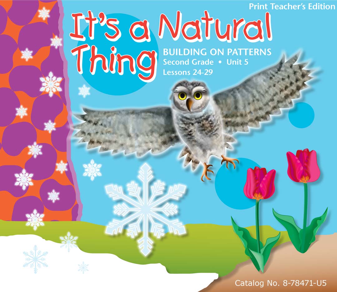 Building on Patterns: Primary Braille Literacy Program: Second Grade: Unit 5 Teacher's Edition