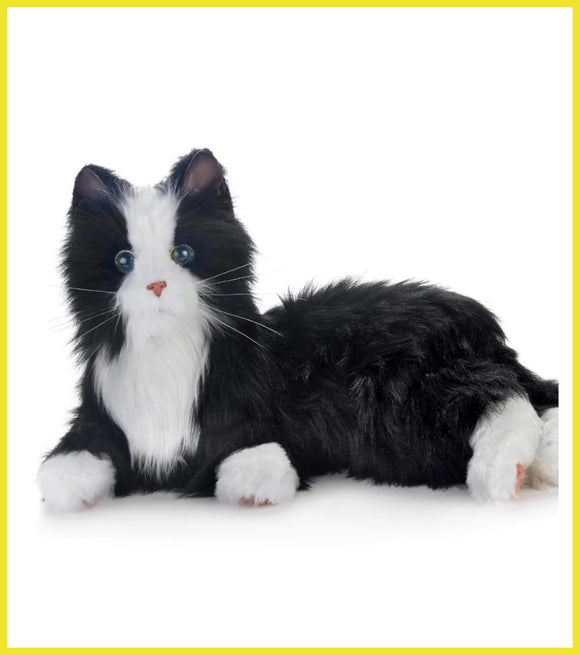 Stuffed toy cat with black and white fur on a white background