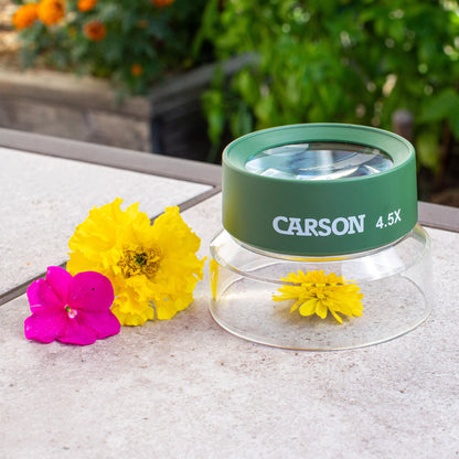 Carson magnifying glass with flowers on a table outdoors