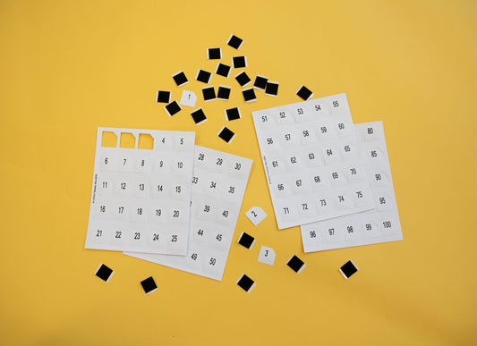 Hundred Boards and Manipulatives: UEB Numbers Set 1-100 with Hook Loop Squares