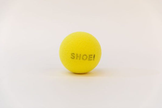 Sound Adapted Tennis Ball