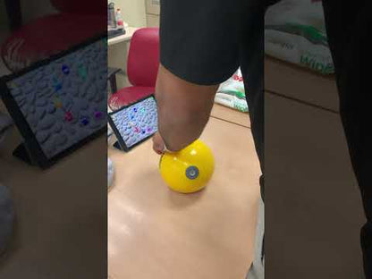 PLAYBALL Basic
