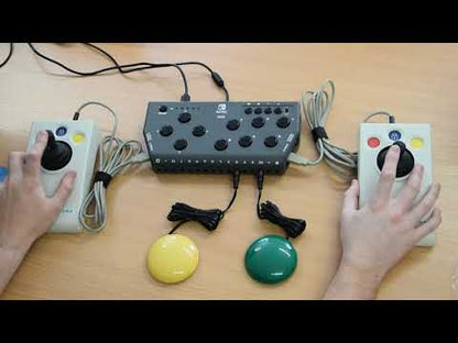 Flex Controller for Nintendo Switch and PC USB/PS2