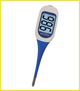 Reizen Talking Digital Thermometer