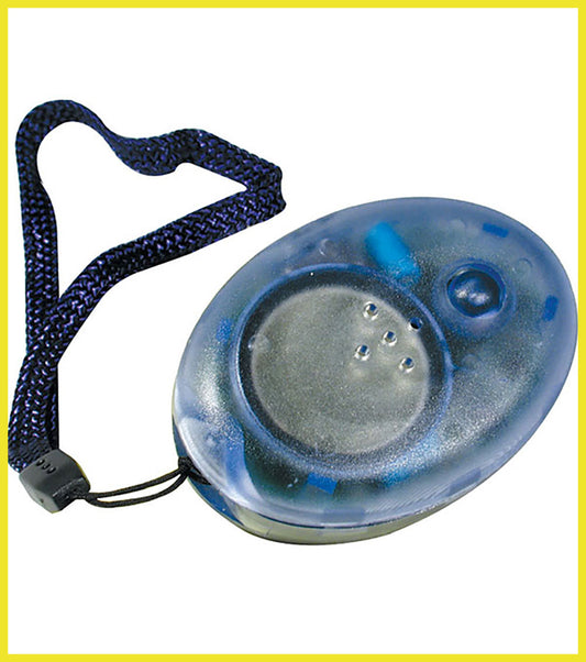 Digital Talking Compass