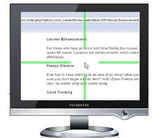 iZoom Standard Screen Magnifier/Reader
